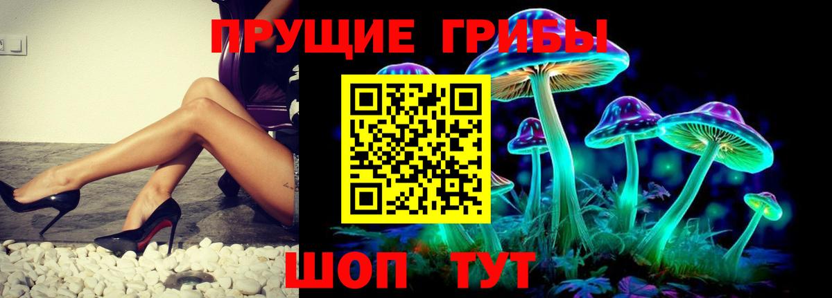 Галлюциногенные грибы мухоморы Кандалакша