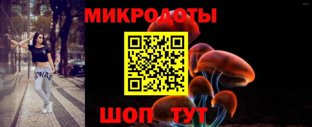 купить  сайты  Вход с VPN  Галлюциногенные грибы Magic Shrooms  Кандалакша  Галлюциногенные грибы Psilocybine cubensis 